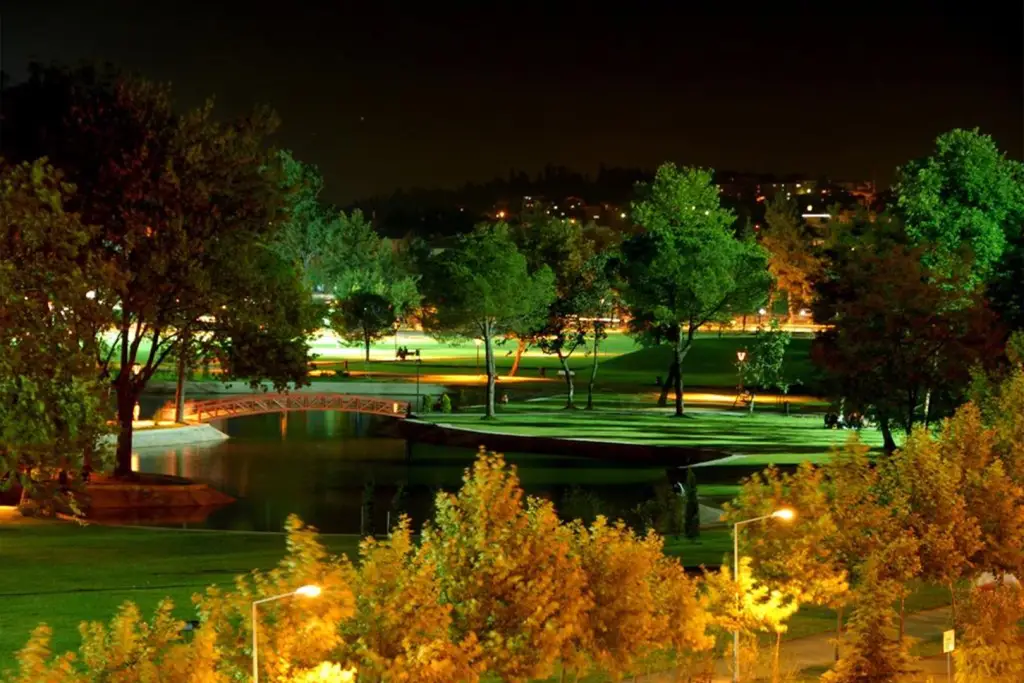 sakarya emlakçı